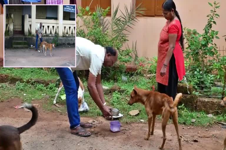 police couple provides non veg meals for street dogs everyday