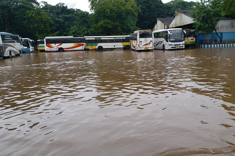 heavy rain in kadapa district