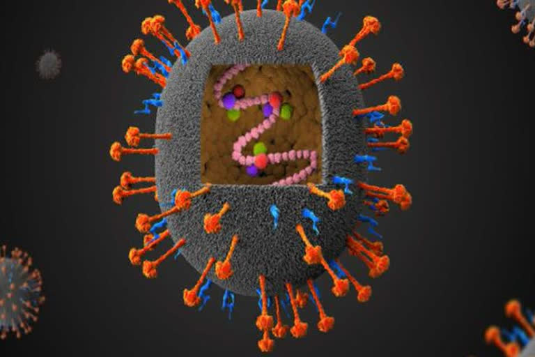 Nipah virus