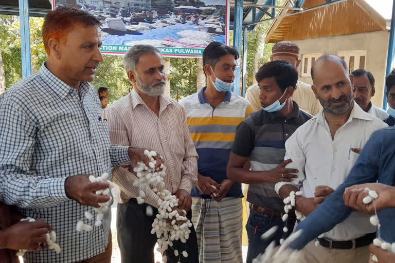 Cocoon auction held at Nikes pulwama