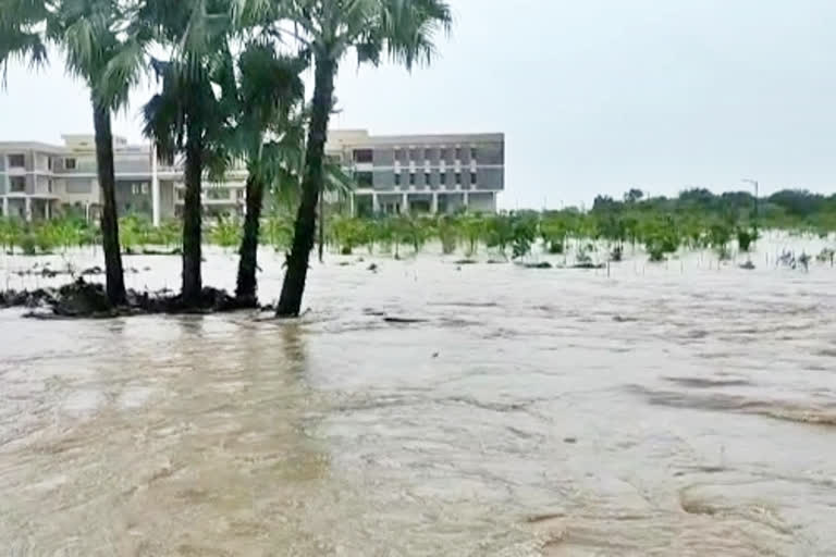 Father and son washed away in water while crossing the bridge