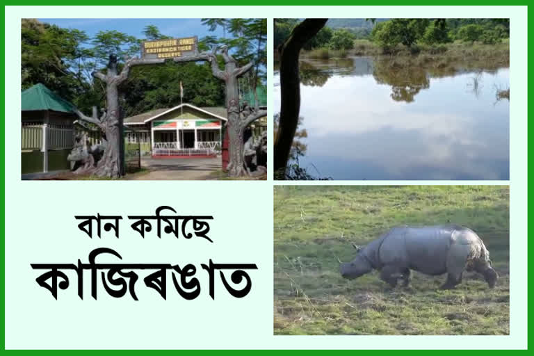 Kaziranga National Park