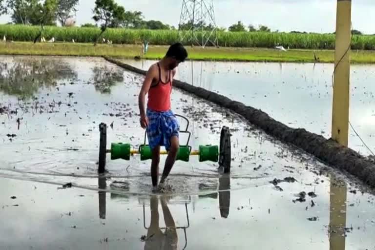 chamarajanagar farmers using Drum seeder to paddy cultivation