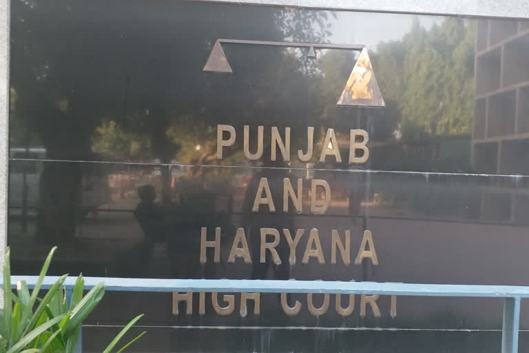 punjab haryana high court