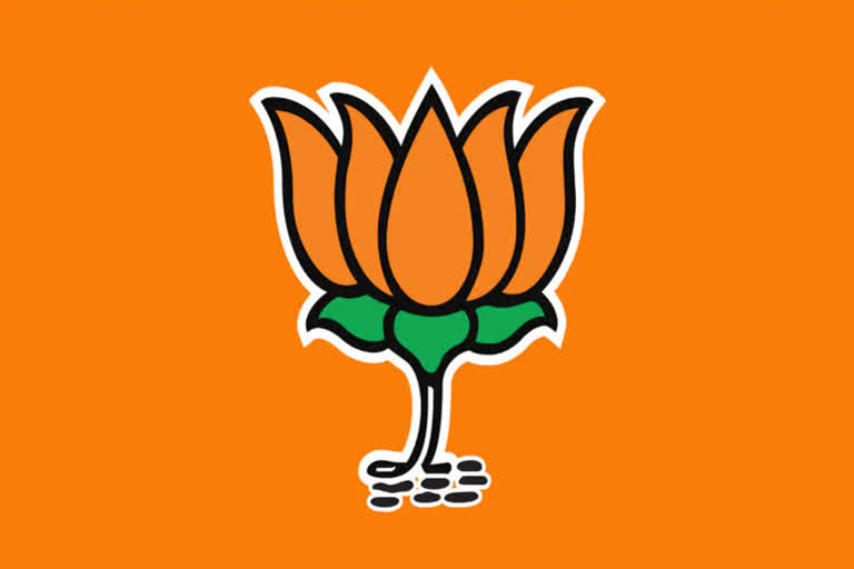 bjp call for statewide protest