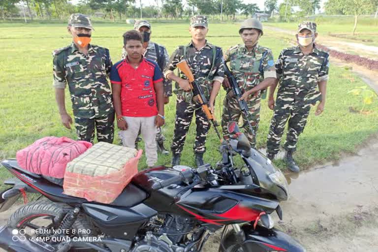 smuggler arrested with hemp