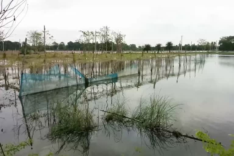 इलाके में आई बाढ़ की तस्वीर 