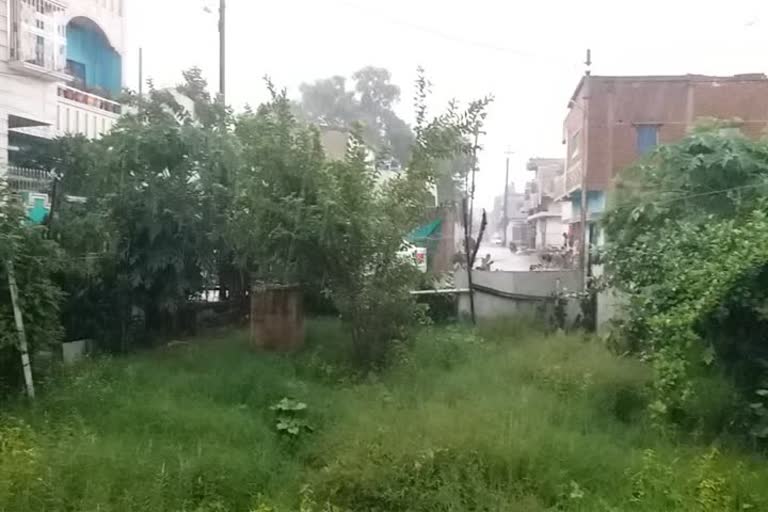 weather pleasent due to rain in Raipur