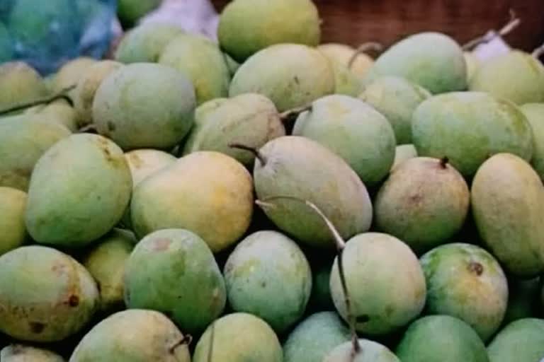 export of mangoes from varansi to dubai