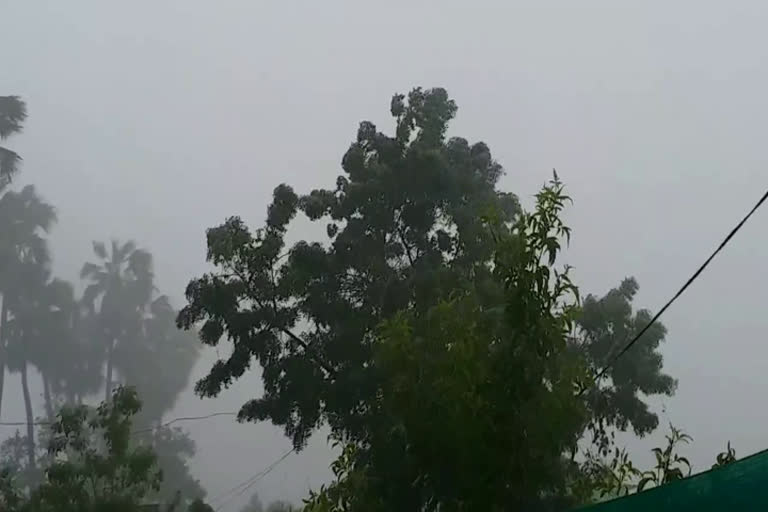 heavy rain in adilabad