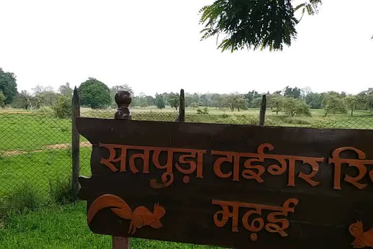 satpura-national-park-will-open-for-tourists-from-october-1-management-in-preparation