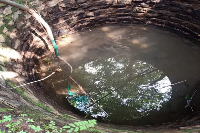 Leopard dies after falling into a well in Dhokravali at Chiplun 