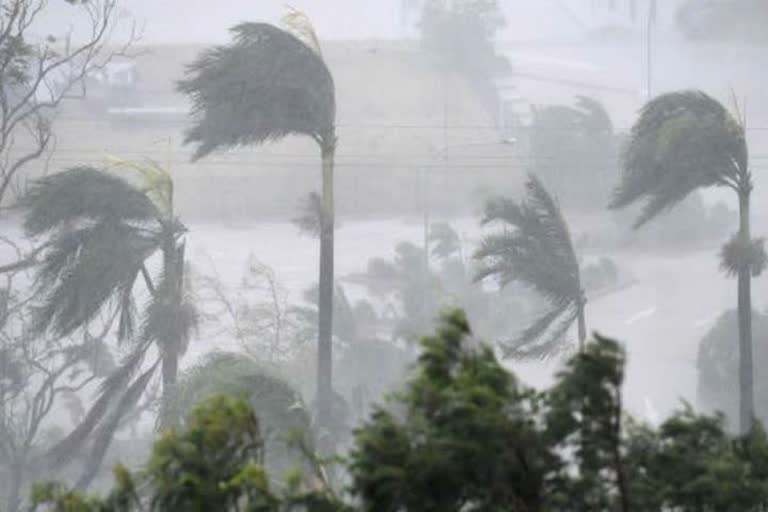 Tauktae cyclone Tauktae cyclone news Tauktae cycloneupdates Tauktae cyclone in Gujarat Agriculture suffered heavy losses in Gujarat ടൗട്ടെ ചുഴലിക്കാറ്റ് ഗുജറാത്തിൽ വൻ കൃഷി നാശം