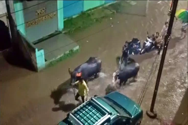 Heavy rainfall leads to waterlogging in Aurangabad district