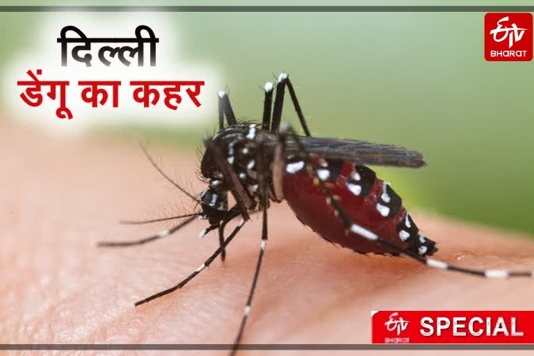 dengue affects children in delhi