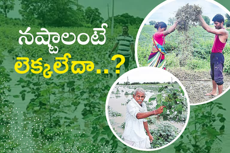 huse-loss-to-telangana-farmers-due-to-heavy-rains