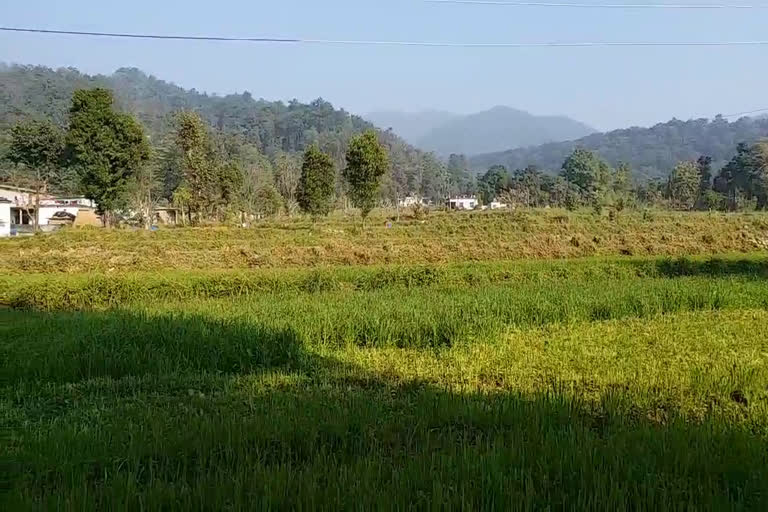 uttarakhand-farmers