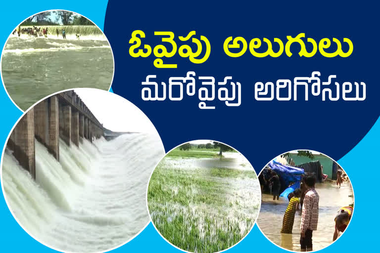 heavy-flow-of-floods-in-nizamabad-and-huge-loose-of-crops