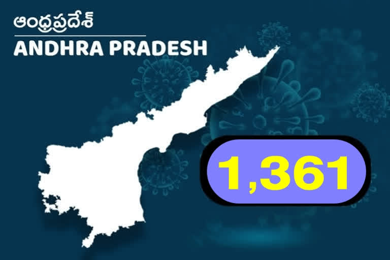 ఆంధ్రప్రదేశ్​లో కరోనా కేసులు