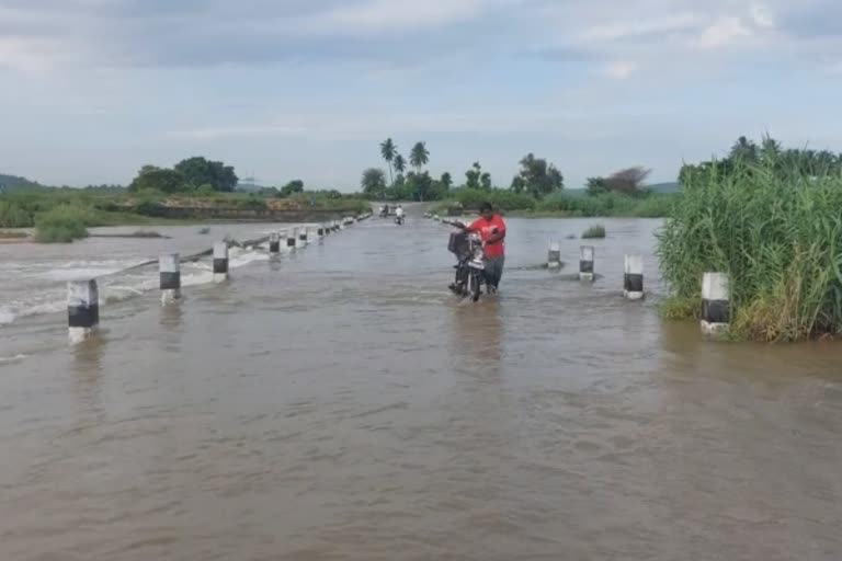 கரைபுரண்டோடும் வெள்ளத்தில் பாலத்தை கடக்கும் மக்கள்