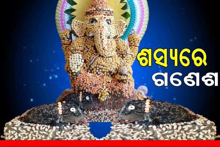 ମନ ମୋହୁଛି ବିଭିନ୍ନ ଶସ୍ୟରେ ତିଆରି ଇକୋ ଫ୍ରେଣ୍ଡଲି ଗଣେଶ ମୂର୍ତ୍ତି