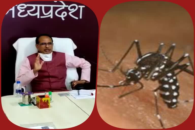 cm meeting on dengue