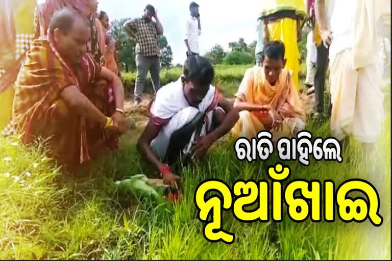 all preparation complete for Nuakhai festival in bolangir