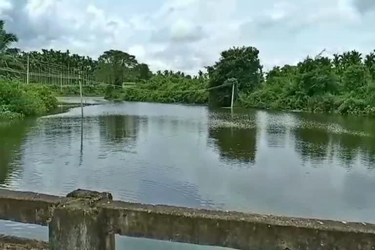 people-planing-to-fill-the-water-to-lake-in-channagiri