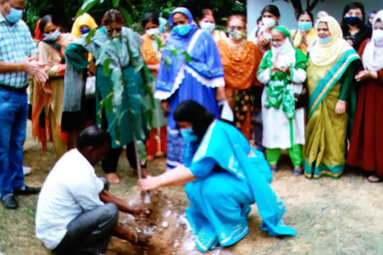 Swachhta Pakhwada in AMU Women's College and Arabic Department