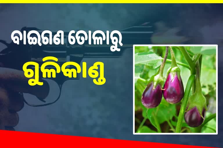 ବାପା ଗୁଳିରେ ଗଲା ପୁଅର ଜୀବନ