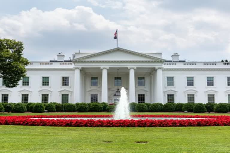 white house