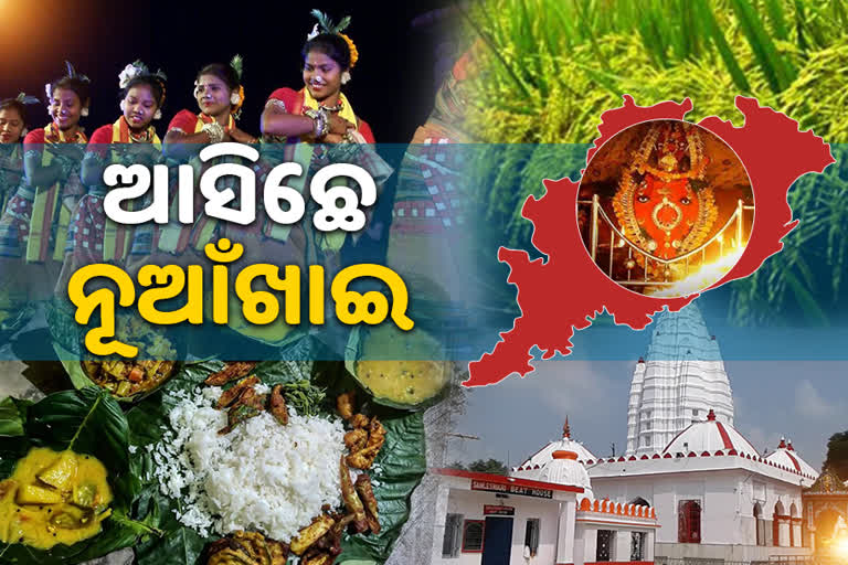 ଆଜି କୃଷିଭିତ୍ତିକ ପର୍ବ ନୂଆଁଖାଇ, ଉତ୍ସବମୁଖର ପଶ୍ଚିମ ଓଡିଶା