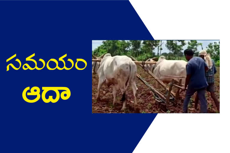 brilliant-farmer-at-bhadradri-kotthagudem-district