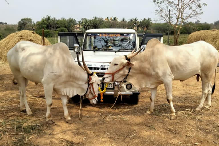 https://www.etvbharat.com/kannada/karnataka/state/dharwad/hubballi-cyclist-dies-of-heart-attack-in-competition/ka20210911141218669