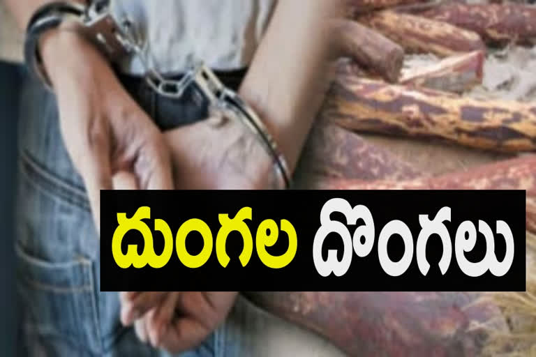 Red sandal Smugglers arrested at kadapa