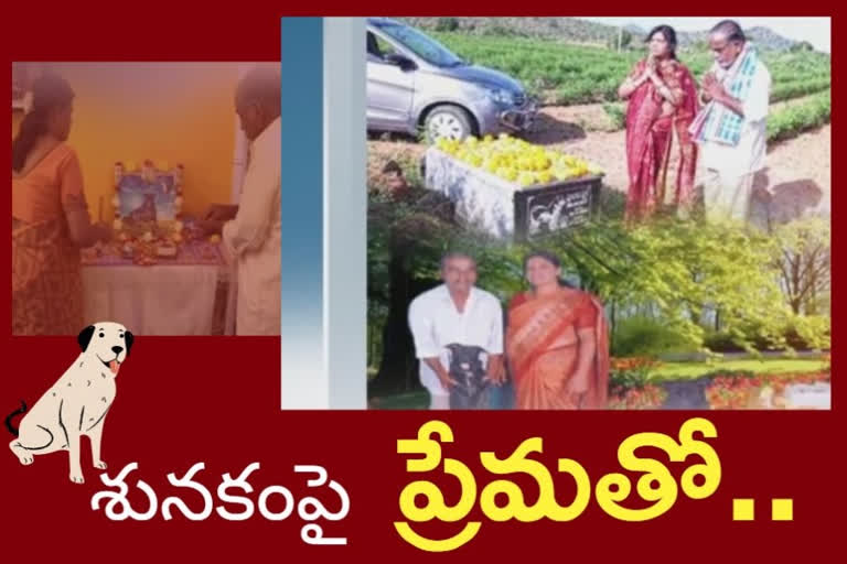 family celebrates birth and death anniversary of dog at ananthapur