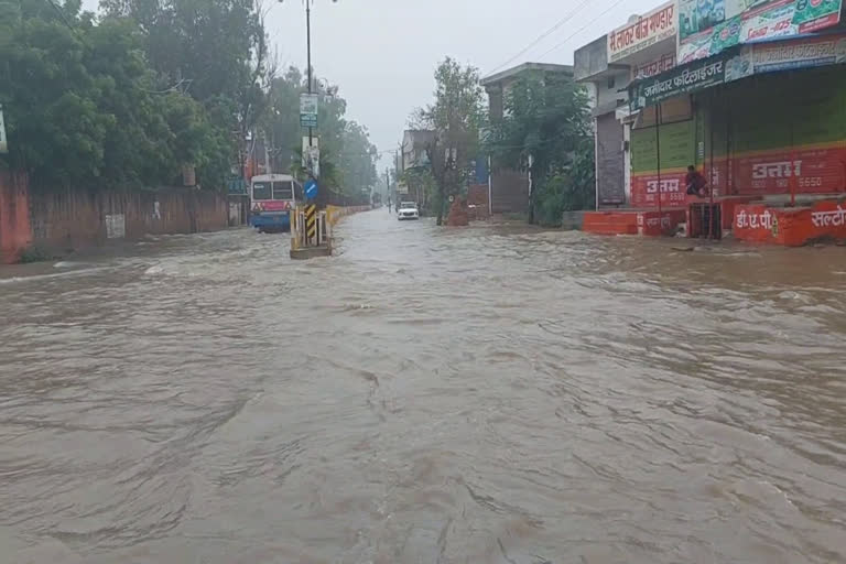 haryana heavy rain
