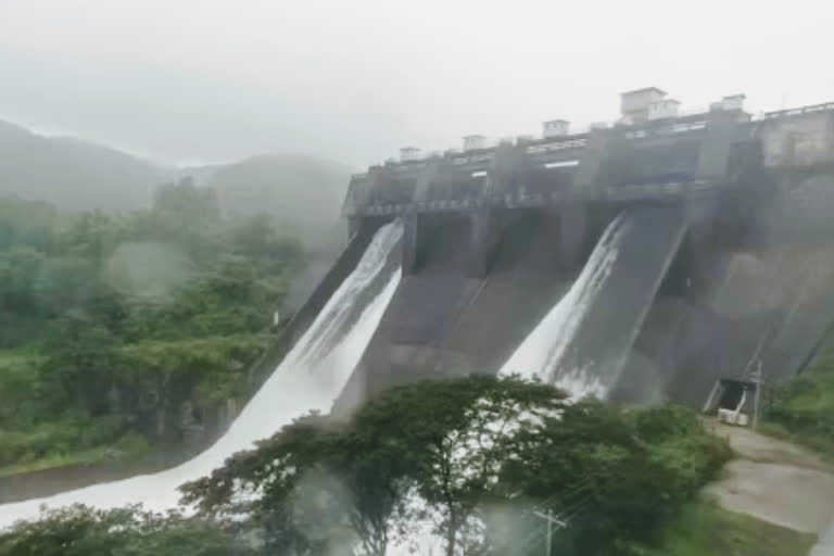 chandoli dam full