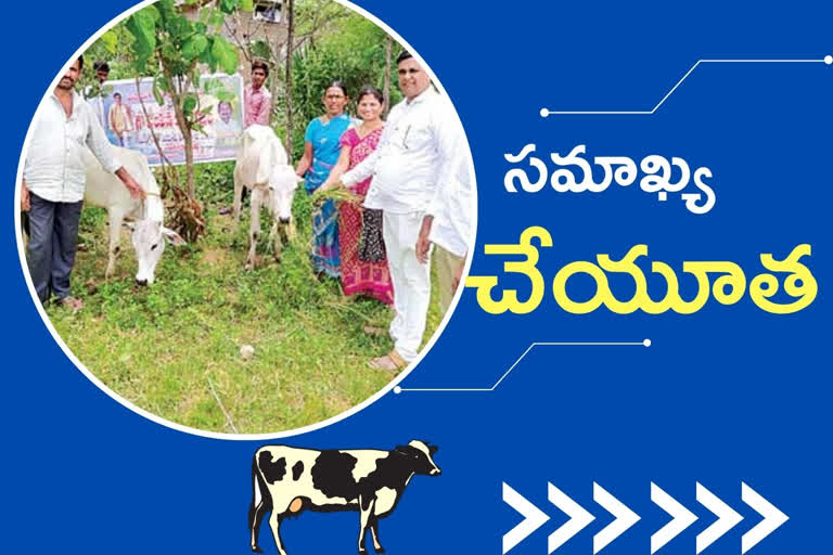 Cows distribution to Farmers, federation of goshala distribution