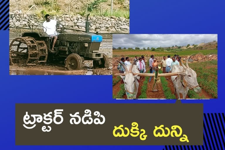 payyavula: పొలం బాట పట్టిన తెదేపా ఎమ్మెల్యే పయ్యావుల కేశవ్