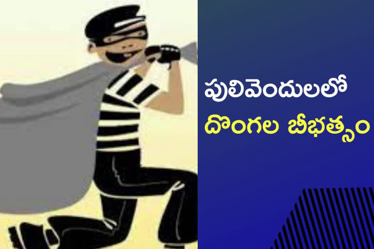 కడప: పులివెందులలో దొంగల బీభత్సం