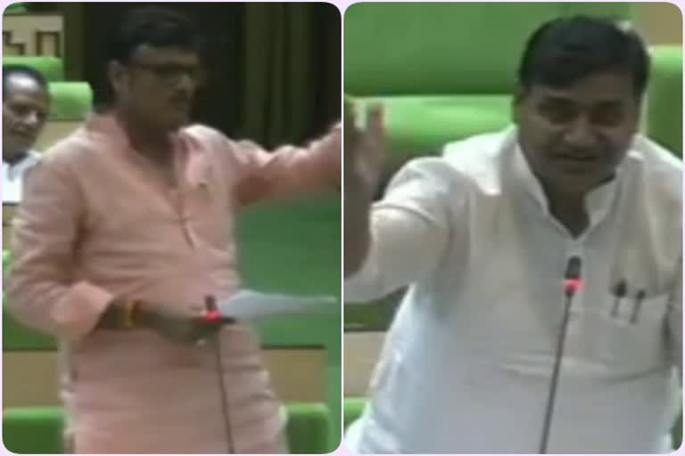 nathi ka bada in rajasthan vidhan sabha