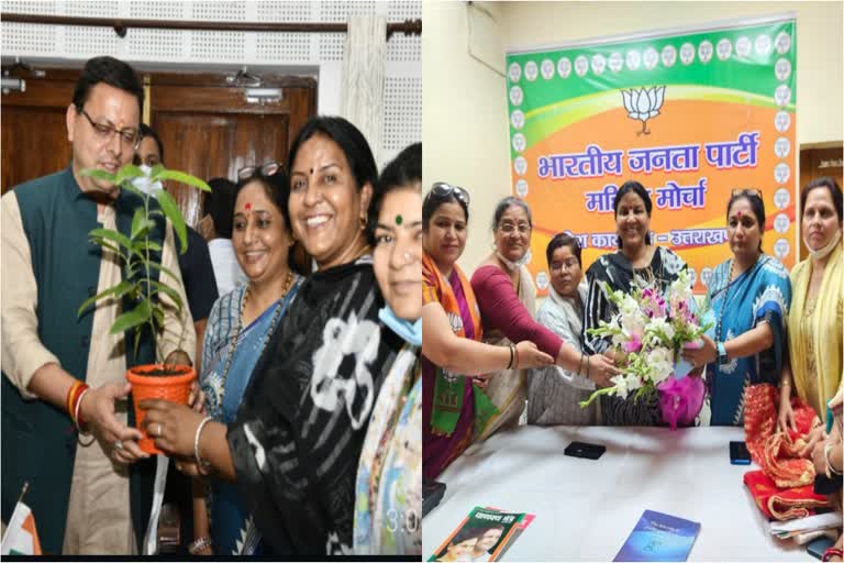 BJP_Mahila_Morcha_Meeting