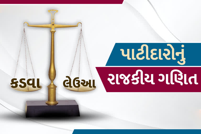 કડવા અને લેઉઆ પાટીદારોનું રાજકીય ગણિત શું છે?