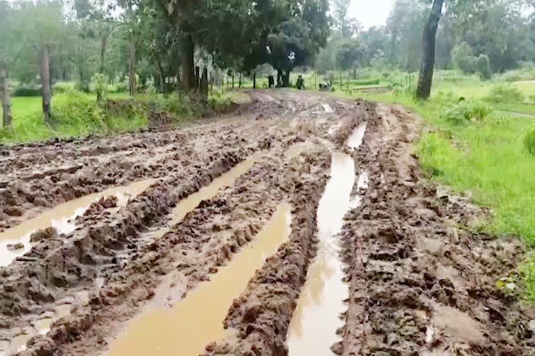 Villagers reached collectorate demanding road in Dhamtari