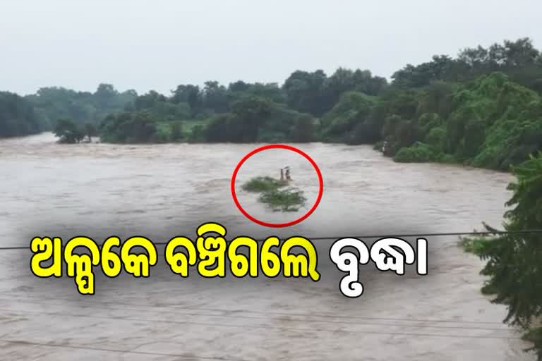 old lady resuce from heavy water logged river in anugul