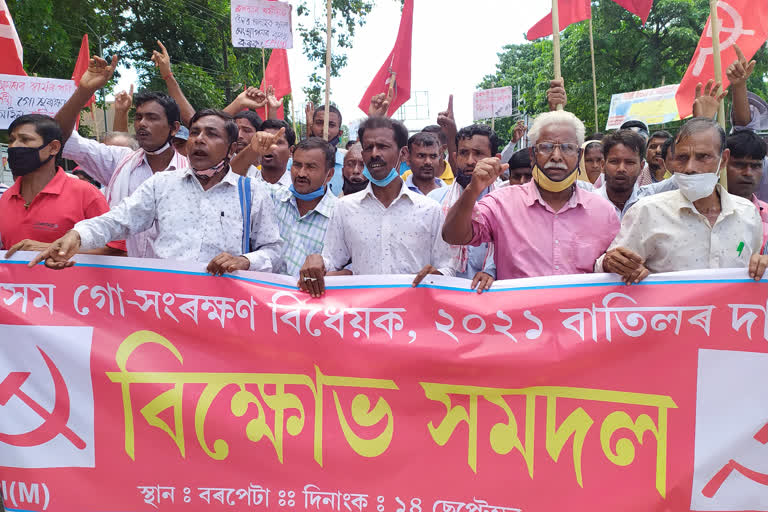 CPIM protest against cattle protection bill at Barpeta