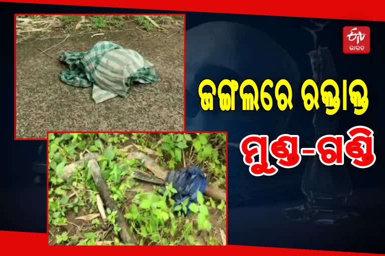 ଗୁଣି ଗାରେଡି ସନ୍ଦେହରେ ବୃଦ୍ଧଙ୍କୁ ହତ୍ୟା ଅଭିଯୋଗ, ମାଟି ତଳୁ ମୃତଦେହ ଉଦ୍ଧାର