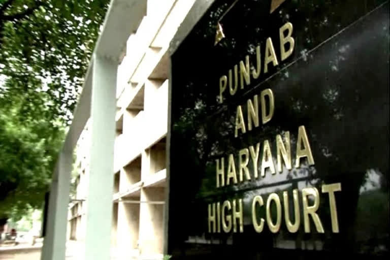 punjab haryana high court