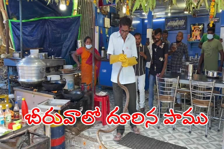 బీరువాలో పాము కలకలం